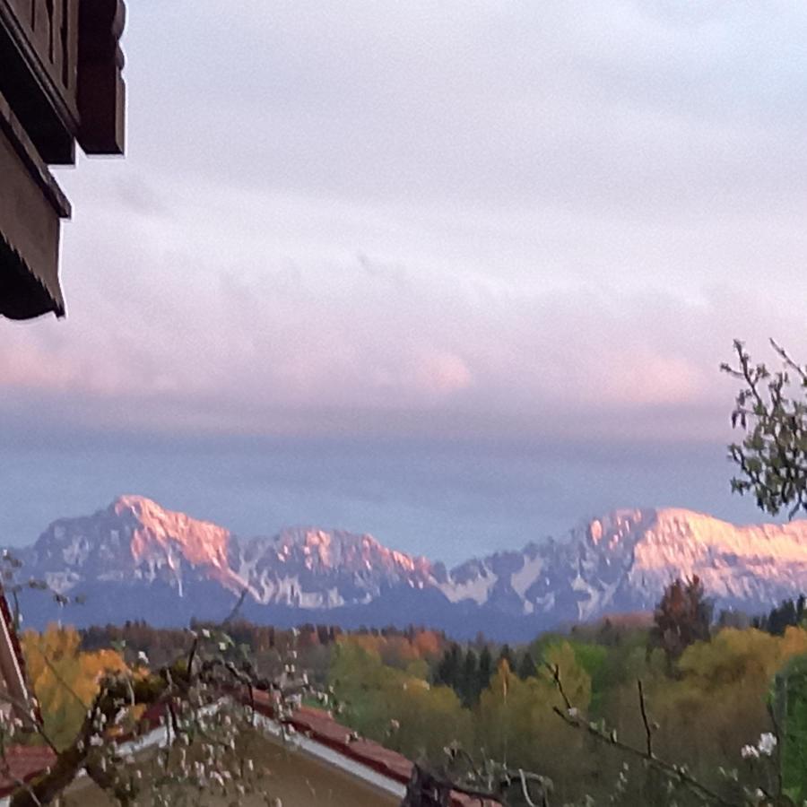 Landhof Ella - Ferienhaus Vor Den Toren Salzburgs Petting Exterior foto