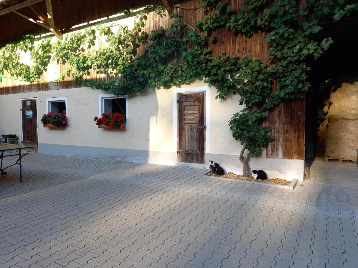 Landhof Ella - Ferienhaus Vor Den Toren Salzburgs Petting Exterior foto