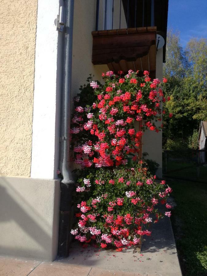 Landhof Ella - Ferienhaus Vor Den Toren Salzburgs Petting Exterior foto