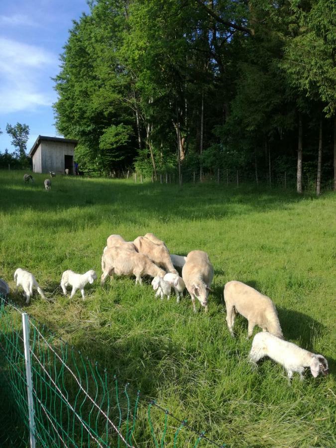 Landhof Ella - Ferienhaus Vor Den Toren Salzburgs Petting Exterior foto