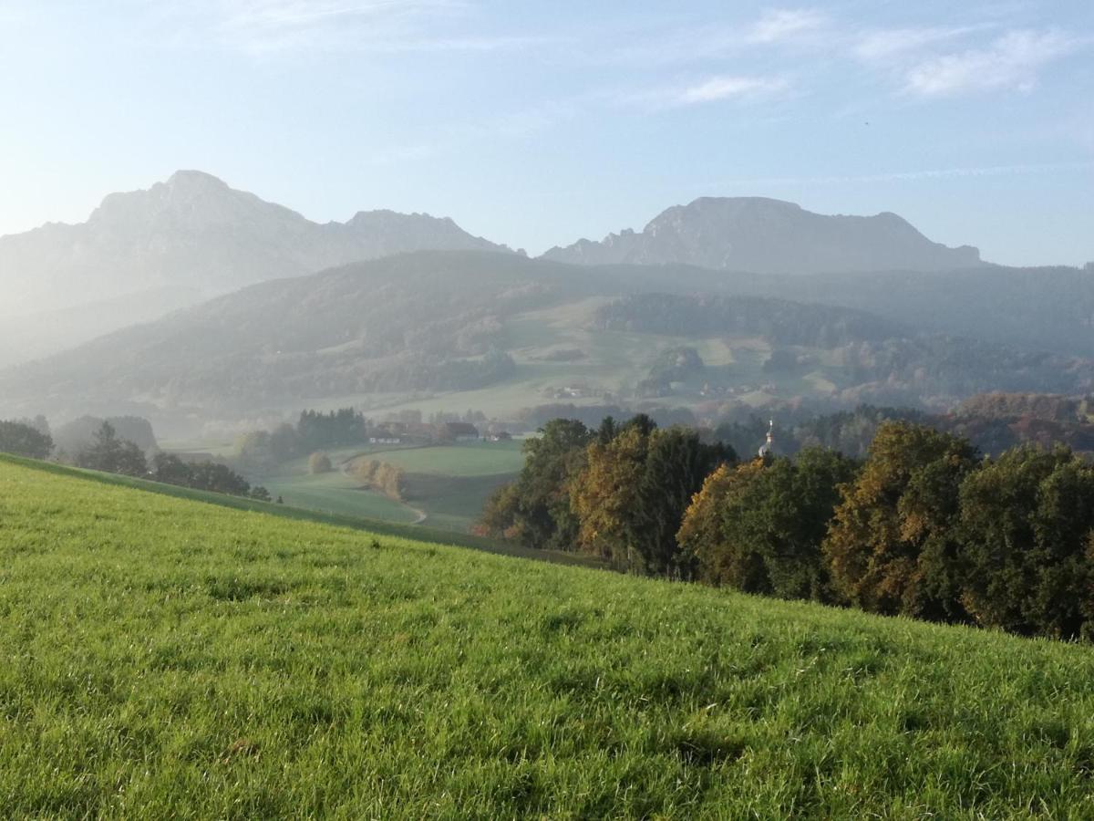 Landhof Ella - Ferienhaus Vor Den Toren Salzburgs Petting Exterior foto